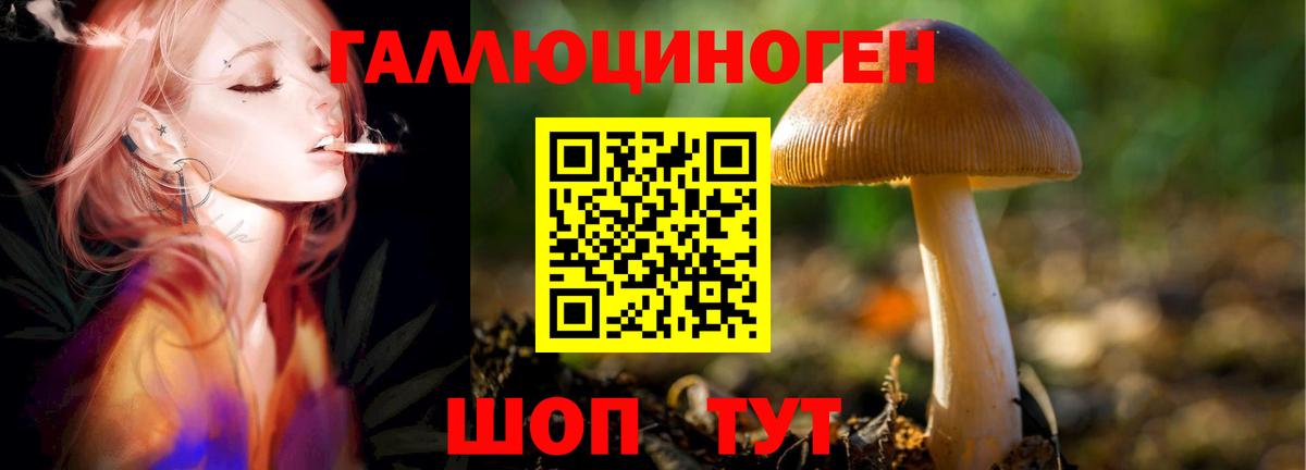 Элиста  купить наркоту  Вход с VPN  Псилоцибиновые грибы MAGIC MUSHROOMS 